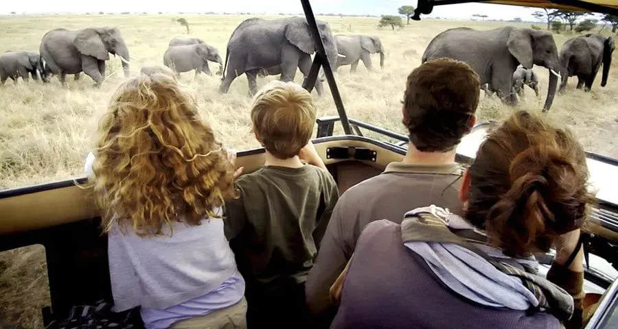 Family, Honeymoon & Special Interest Tanzania Tours