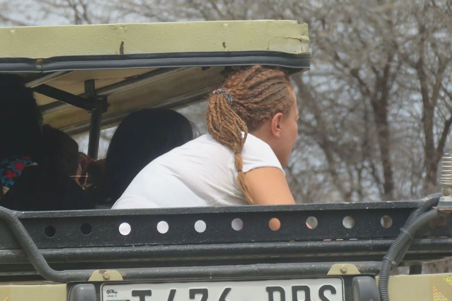 Wildlife Safari Tanzania Packages